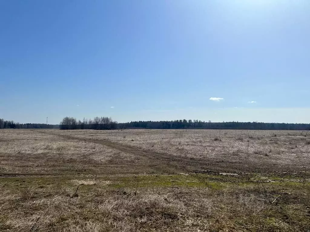 Участок в Московская область, Рузский городской округ, д. Ваюхино  ... - Фото 0