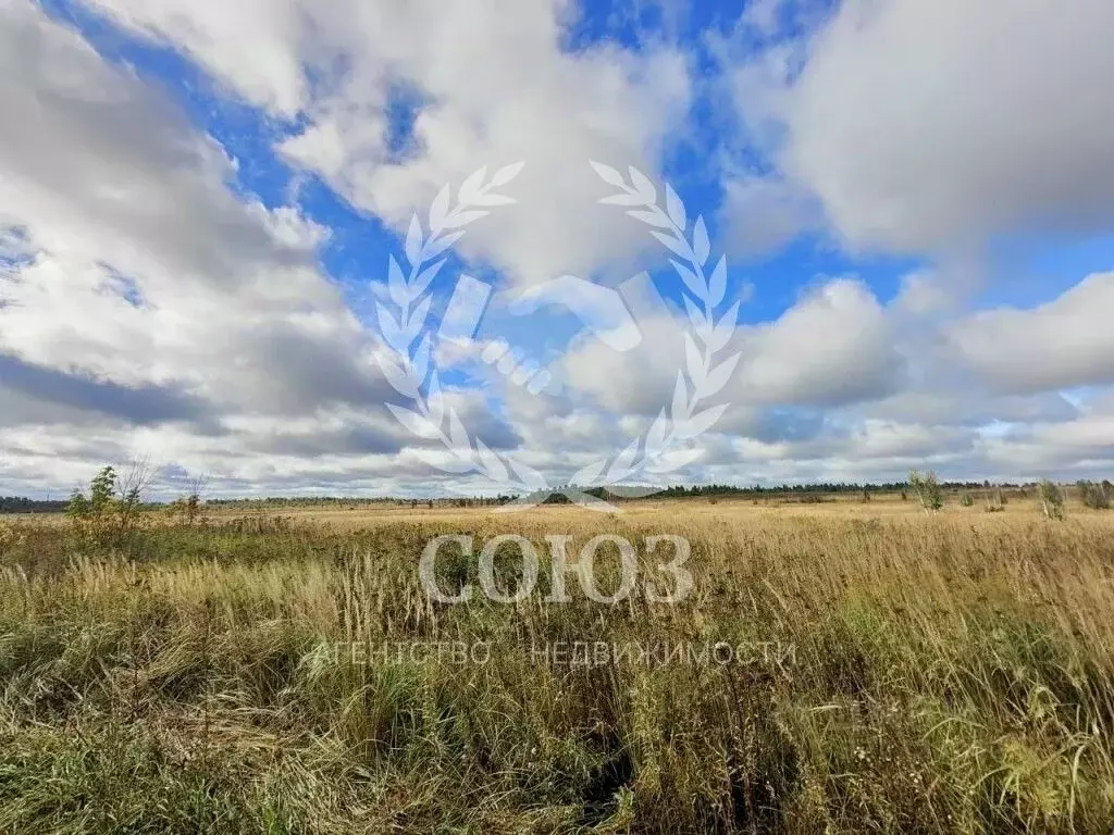 Участок в Калужская область, Дзержинский район, Дворцы с/пос, д. ... - Фото 2