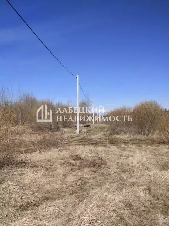 Участок в Ленинградская область, Кингисеппский район, Нежновское ... - Фото 2