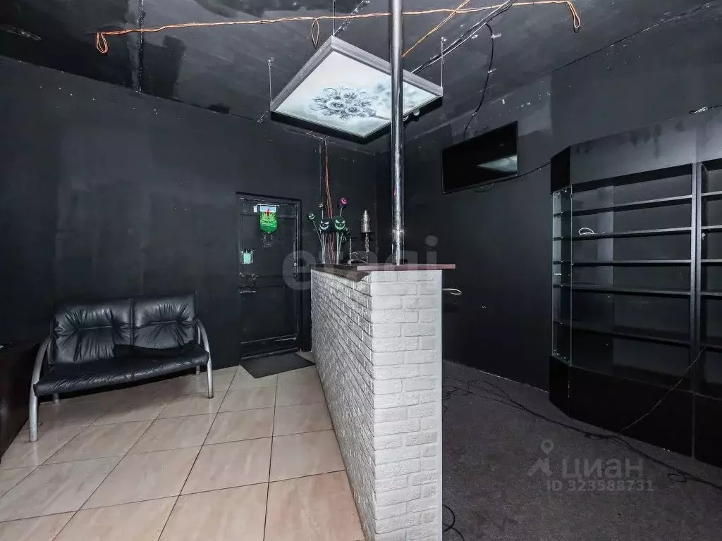 Помещение свободного назначения в Новосибирская область, Новосибирск ... - Фото 2