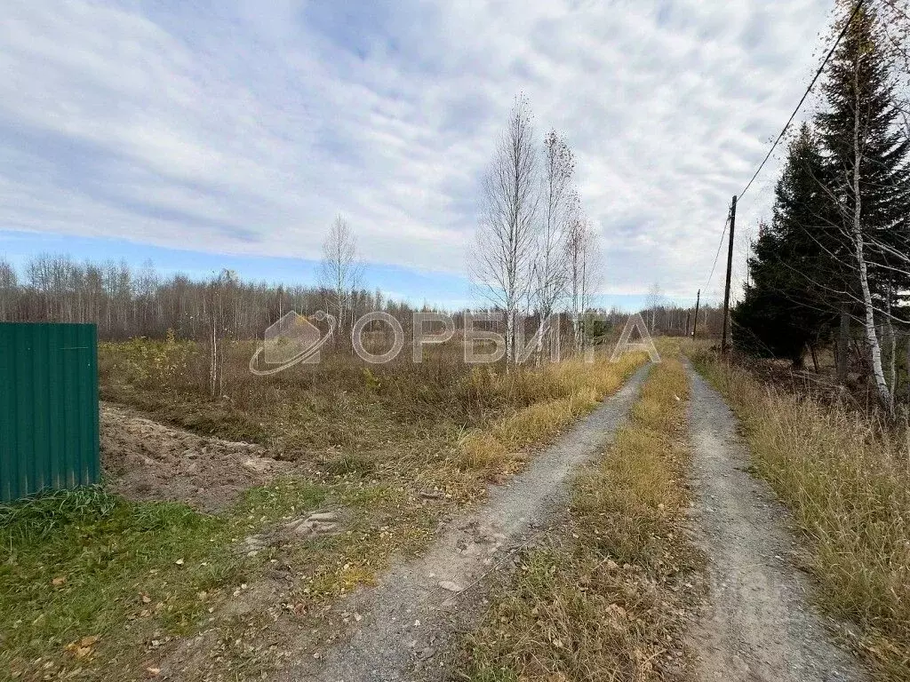 Участок в Тюменская область, Нижнетавдинский муниципальный округ, ... - Фото 2