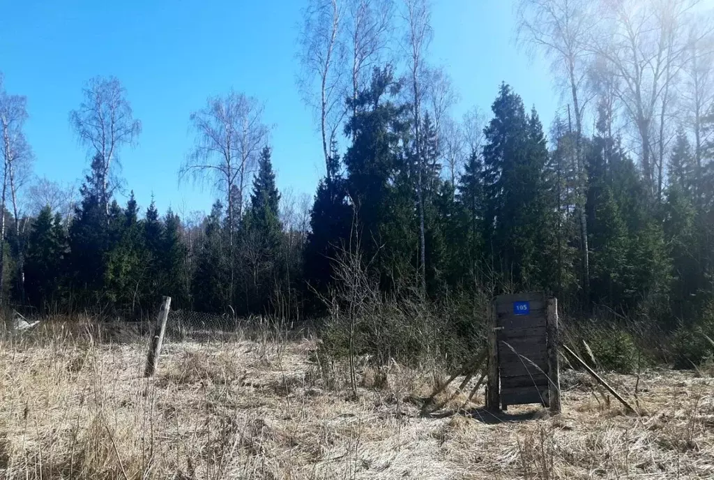 Участок в Московская область, Щелково городской округ, Заозерный СНТ ... - Фото 0