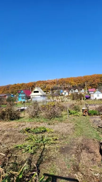 Участок в Приморский край, Арсеньев Пионер садоводческое товарищество, ... - Фото 0