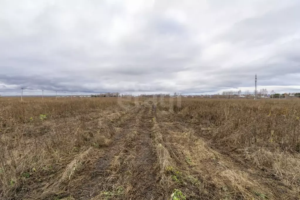 Участок в Татарстан, Тукаевский район, Калмиинское с/пос, Ясная Поляна ... - Фото 1