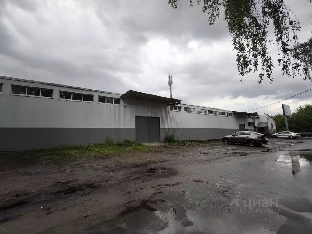 Помещение свободного назначения в Московская область, Ногинск ... - Фото 1