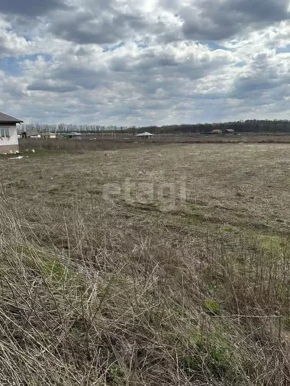 Участок в Белгородская область, Ракитное городское поселение, Ракитное ... - Фото 0