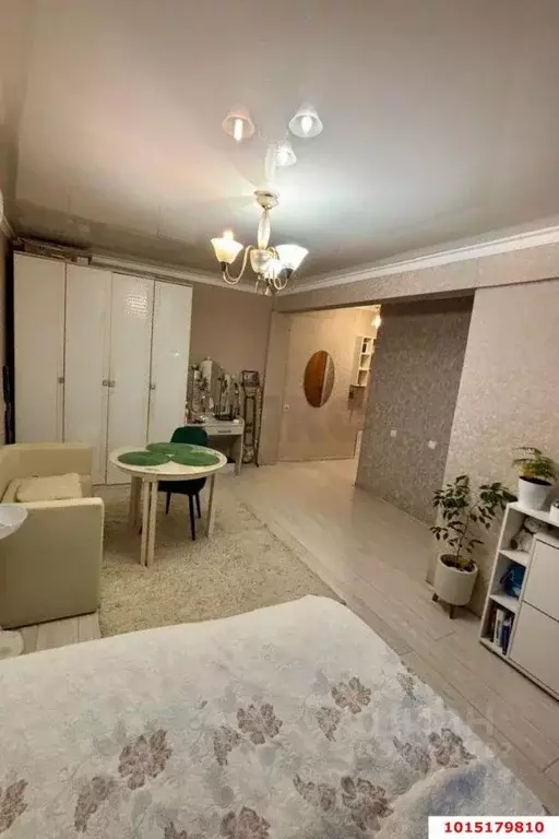 1-к кв. Краснодарский край, Краснодар Красная ул. (34.0 м) - Фото 2