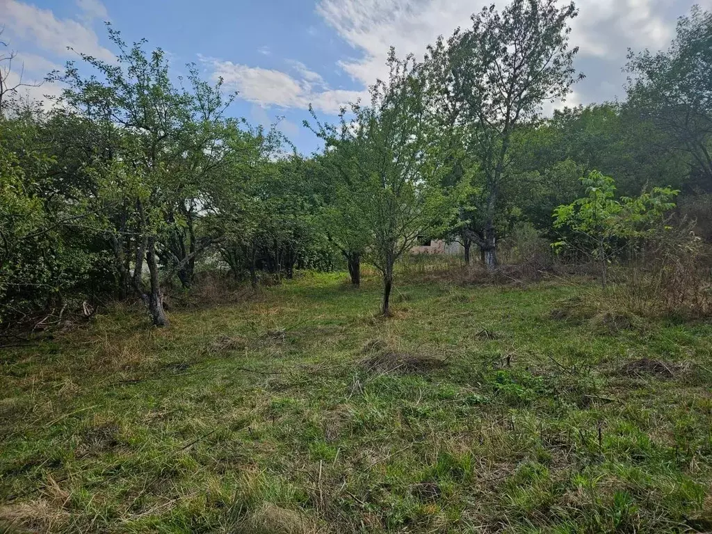 Участок в Ставропольский край, Кисловодск городской округ, пос. ... - Фото 2