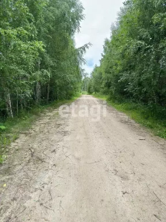 Участок в Коми, Корткеросский район, Додзь муниципальное образование, ... - Фото 2