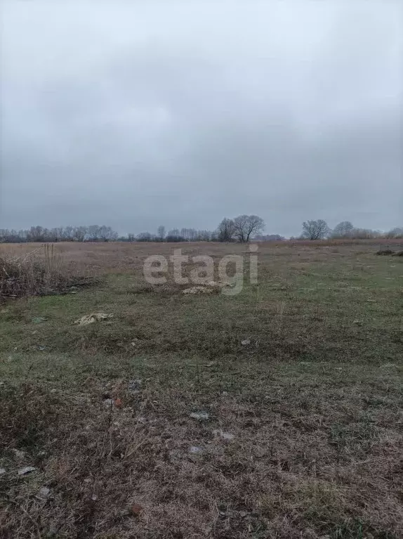 Участок в Белгородская область, Старооскольский городской округ, с. ... - Фото 0