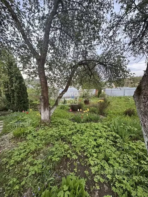 Дом в Московская область, Дмитровский муниципальный округ, Гагат СНТ ... - Фото 1