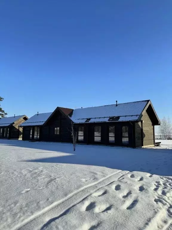 Дом в Новосибирская область, Новосибирский район, с. Боровое, Каникулы ... - Фото 0