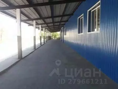 Помещение свободного назначения в Краснодарский край, ... - Фото 1