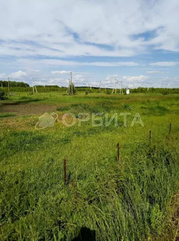 участок в тюменская область, тюмень велижанский тракт, 7-й км, 2 . - Фото 1