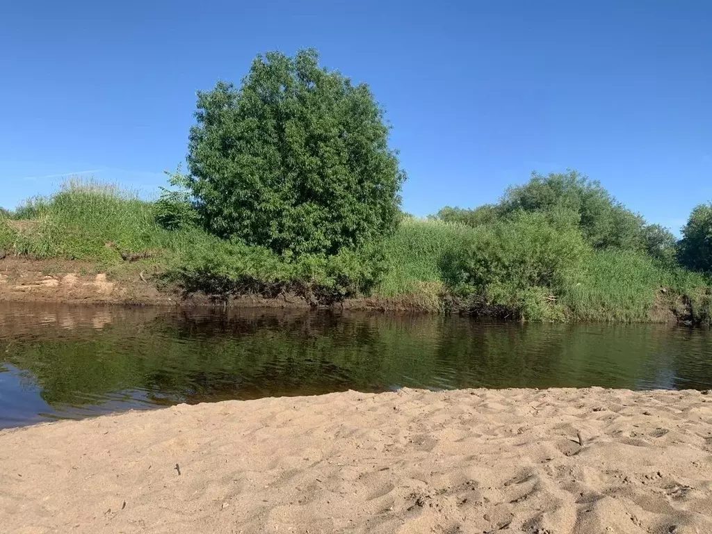 Участок в Вологодская область, д. Карцево  (9.0 сот.) - Фото 1