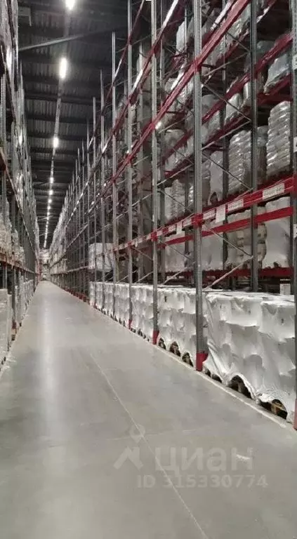 Склад в Московская область, Балашиха Южное Кучино мкр, 6 (2000 м) - Фото 0