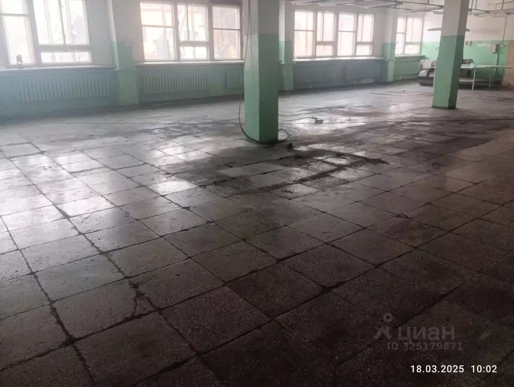 Помещение свободного назначения в Свердловская область, Нижняя Тура ... - Фото 2