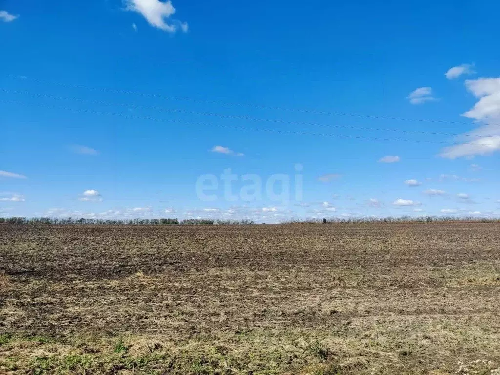 Участок в Белгородская область, Красногвардейский район, Никитовское ... - Фото 1