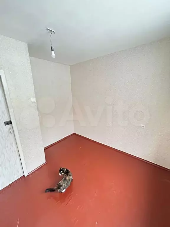 Комната 8 м в 4-к., 1/5 эт. - Фото 1