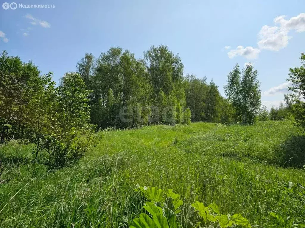 Участок в Московская область, Коломна (1454.85 м) - Фото 1