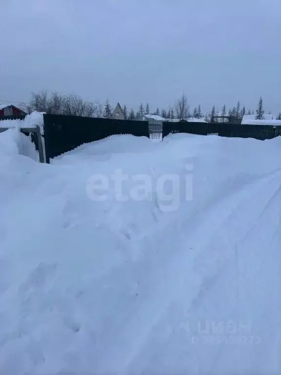 Участок в Ямало-Ненецкий АО, Новый Уренгой Титан ДНТ, 25 (6.0 сот.) - Фото 1