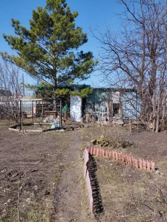 Дом в Новосибирская область, Новосибирский район, Толмачевский ... - Фото 0