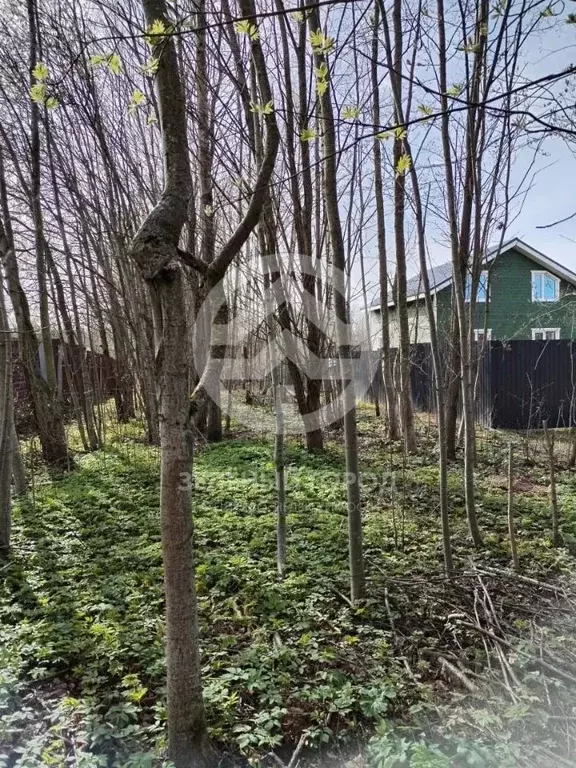 Участок в Московская область, Клин городской округ, с. Горки  (6.0 ... - Фото 1