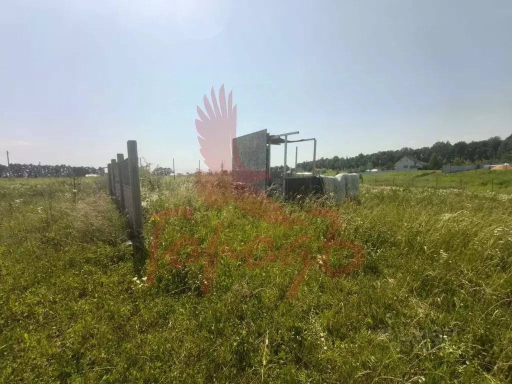 Участок в Орловская область, Орловский муниципальный округ, пос. ... - Фото 2