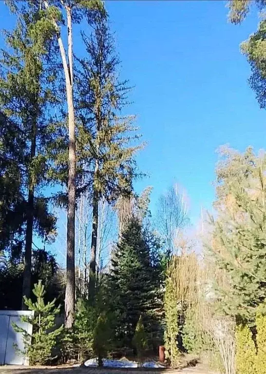 Участок в Московская область, Одинцовский городской округ, пос. ... - Фото 2