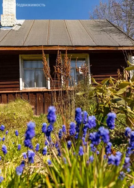 Дом в Выборгский район, Селезнёвское сельское поселение, посёлок при ... - Фото 0