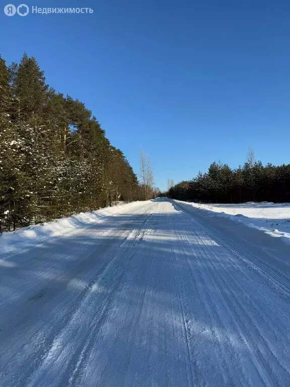 Участок в Советск, Вознесенская улица, 47 (18 м) - Фото 1