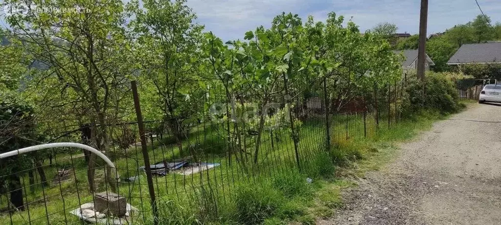 Участок в Краснодарский край, городской округ Сочи, село Высокое, ... - Фото 1