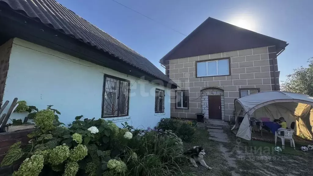Дом в Белгородская область, Борисовка рп ул. Фрунзе, 46 (161 м) - Фото 1