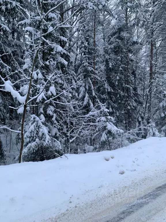 Участок в Калужская область, Калуга городской округ, с. Рябинки  (15.0 ... - Фото 0