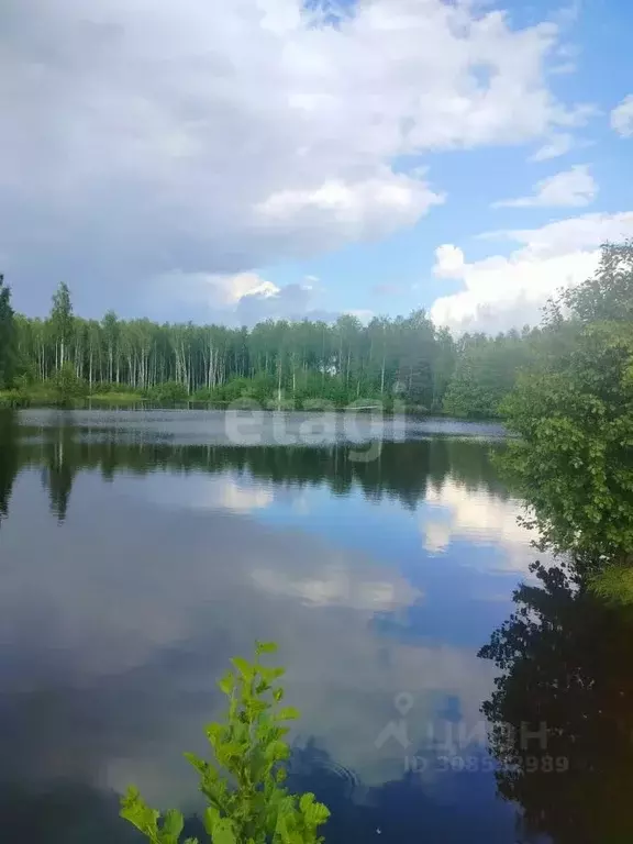 Дом в Брянская область, Брянский район, Нетьинское с/пос, Березовая ... - Фото 1