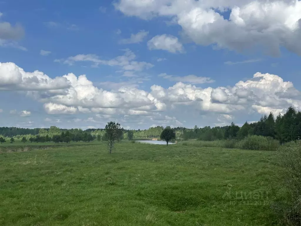 Участок в Тверская область, Конаковский муниципальный округ, д. ... - Фото 1