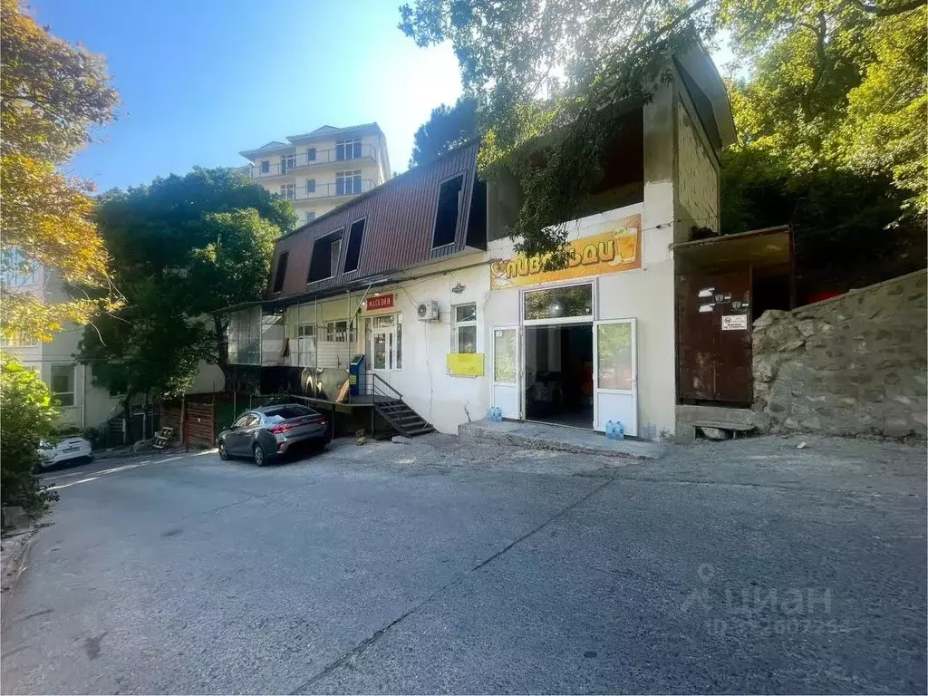 Торговая площадь в Крым, Ялта муниципальный округ, Отрадное пгт ул. ... - Фото 1