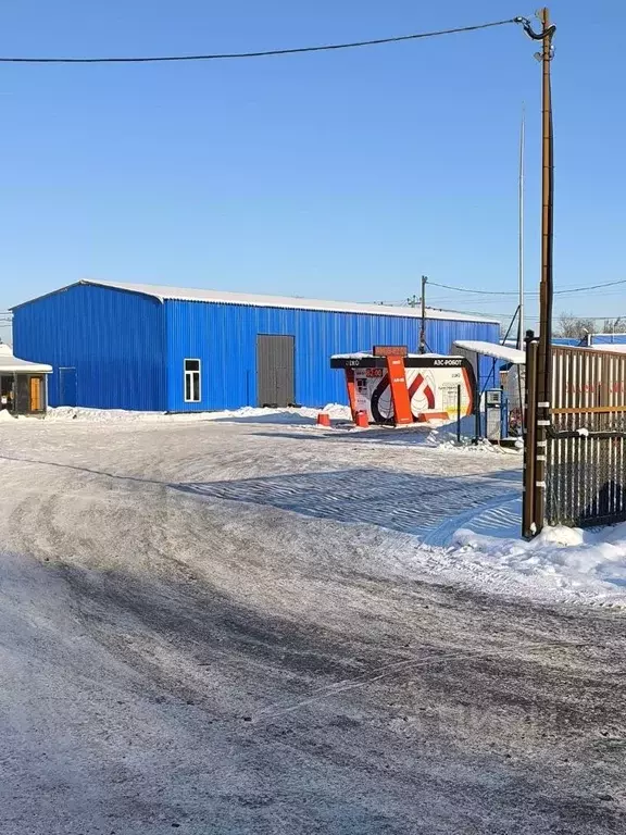 Склад в Ленинградская область, Ломоносовский район, Горбунковское ... - Фото 2