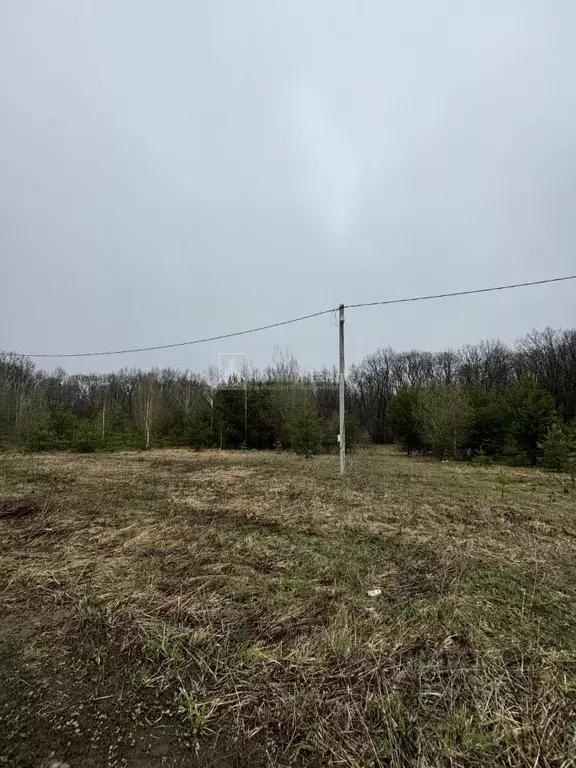 Участок в Владимирская область, Владимир д. Уварово, ул. Малая ... - Фото 1