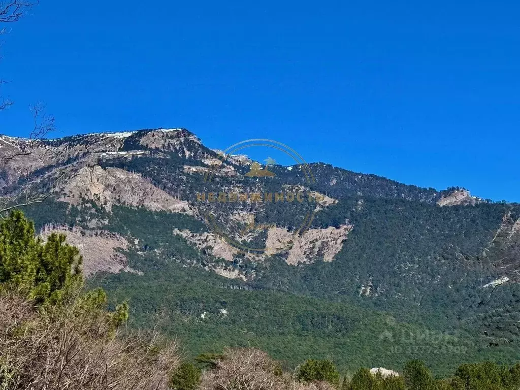 Участок в Крым, Ялта ул. Дарсановская, 81А (4.2 сот.) - Фото 1