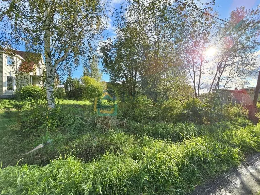 Участок в Ленинградская область, Всеволожский район, Лесколовское ... - Фото 2