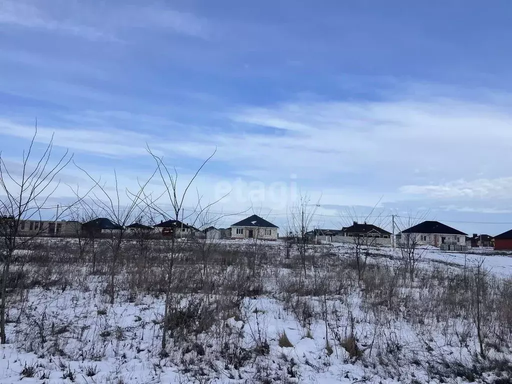 Участок в Белгородская область, Белгородский район, с. Стрелецкое 81 ... - Фото 0