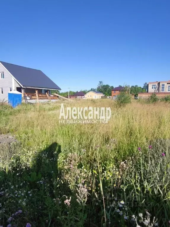 Участок в Ленинградская область, Ломоносовский район, Виллозское ... - Фото 1