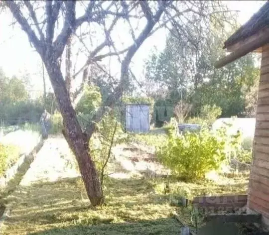 Дом в Вологодская область, Сокол Печаткино мкр,  (25 м) - Фото 1