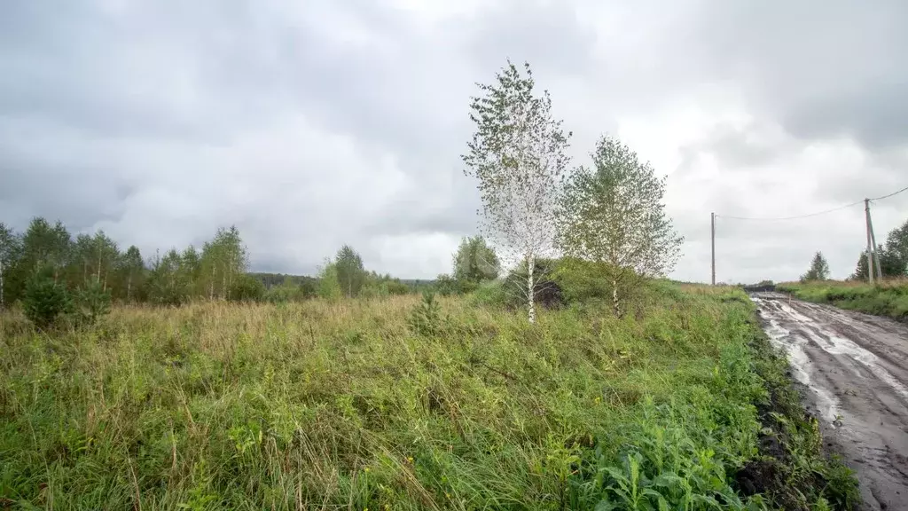 Участок в Томская область, Томский район, д. Новомихайловка, Кедры ДНП ... - Фото 0