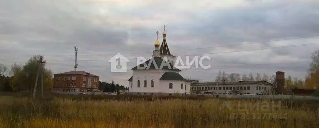 Участок в Владимирская область, Судогодский район, Головинское ... - Фото 0