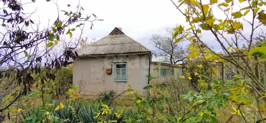 Участок в Крым, Ленинский район, Мысовское с/пос, с. Семеновка ул. ... - Фото 1