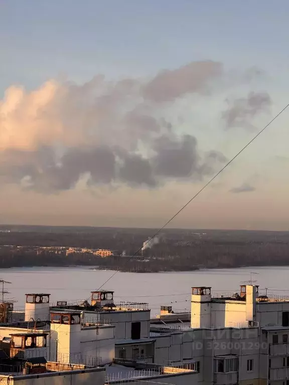 Студия Санкт-Петербург Мебельная ул., 35к2 (24.0 м) - Фото 2