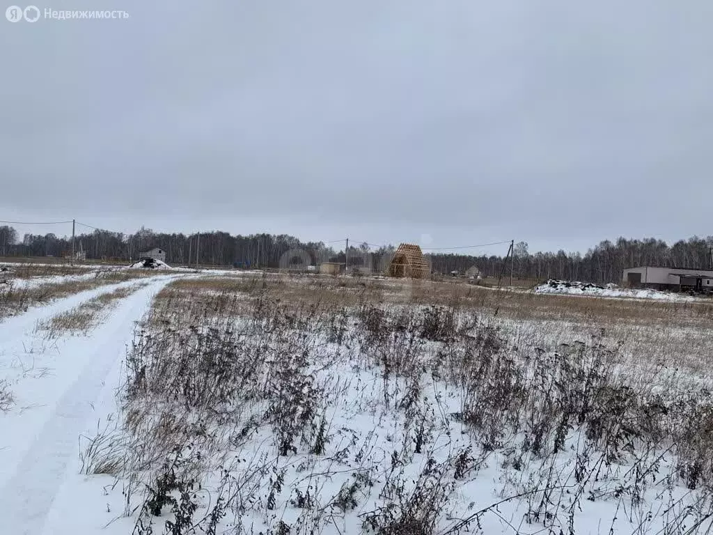 Участок в Новосибирский район, Морской сельсовет, территория ТСН ... - Фото 2