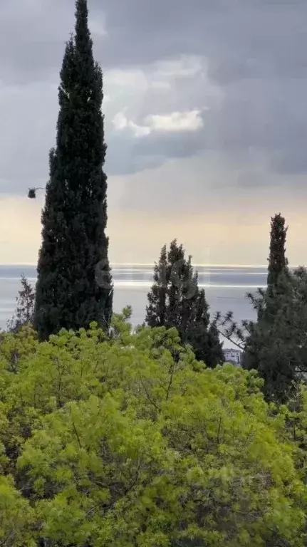 2-к кв. Крым, Ялта ул. Красных Партизан, 9 (60.0 м) - Фото 1